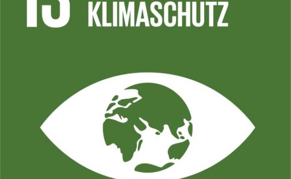 SDG 13 Massnahmen zum Klimaschutz