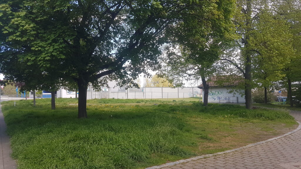 Bäume auf einer Rasenfläche mit einer Schallschutzmauer im Hintergrund.