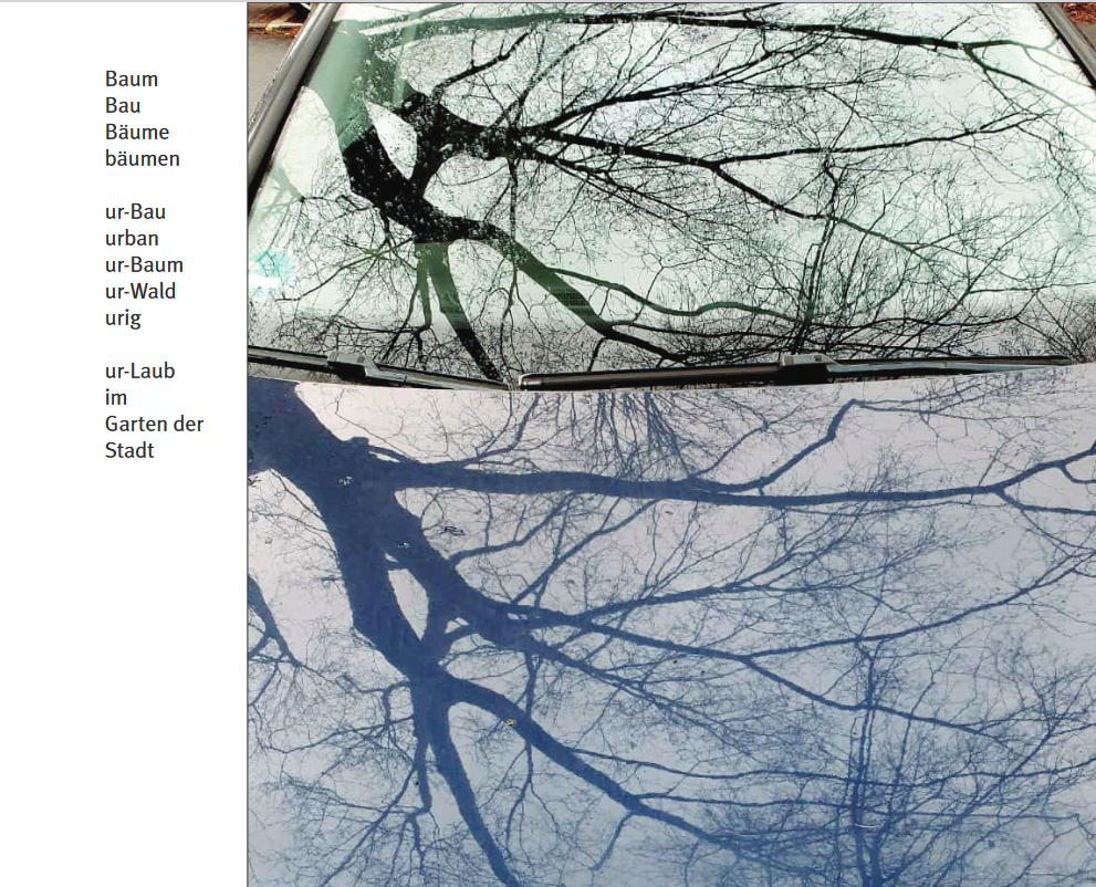 Spiegelung von Ästen im Winter in einer Autofrontscheibe und Motorhaube.